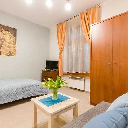 Central Krak Apartments - Studios-3